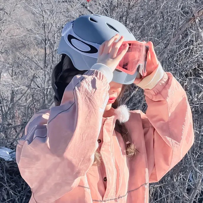 大象家族